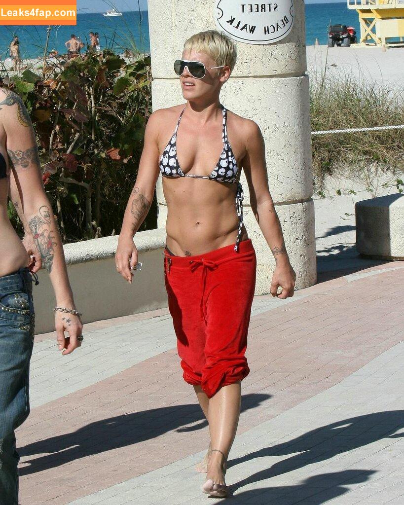 Pink / Alecia Beth Moore / pinksuicide слитое фото фото #0080