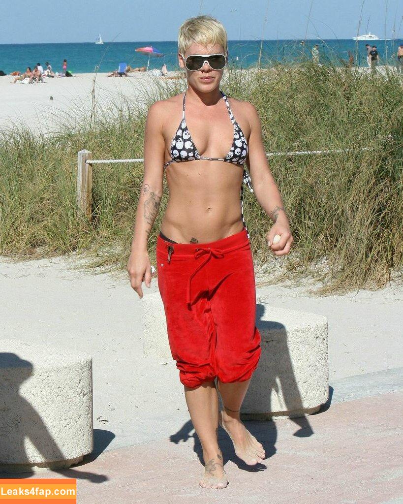 Pink / Alecia Beth Moore / pinksuicide слитое фото фото #0092