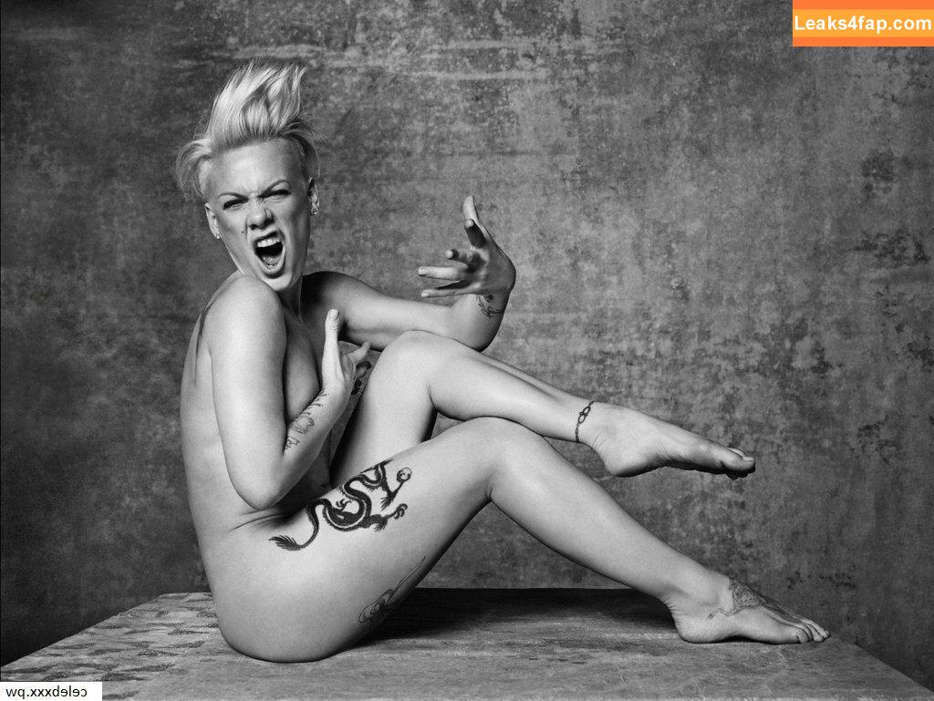 Pink / Alecia Beth Moore / pinksuicide leaked photo photo #0107