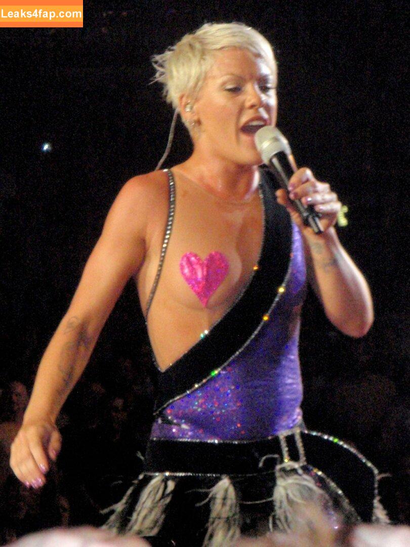 Pink / Alecia Beth Moore / pinksuicide leaked photo photo #0122