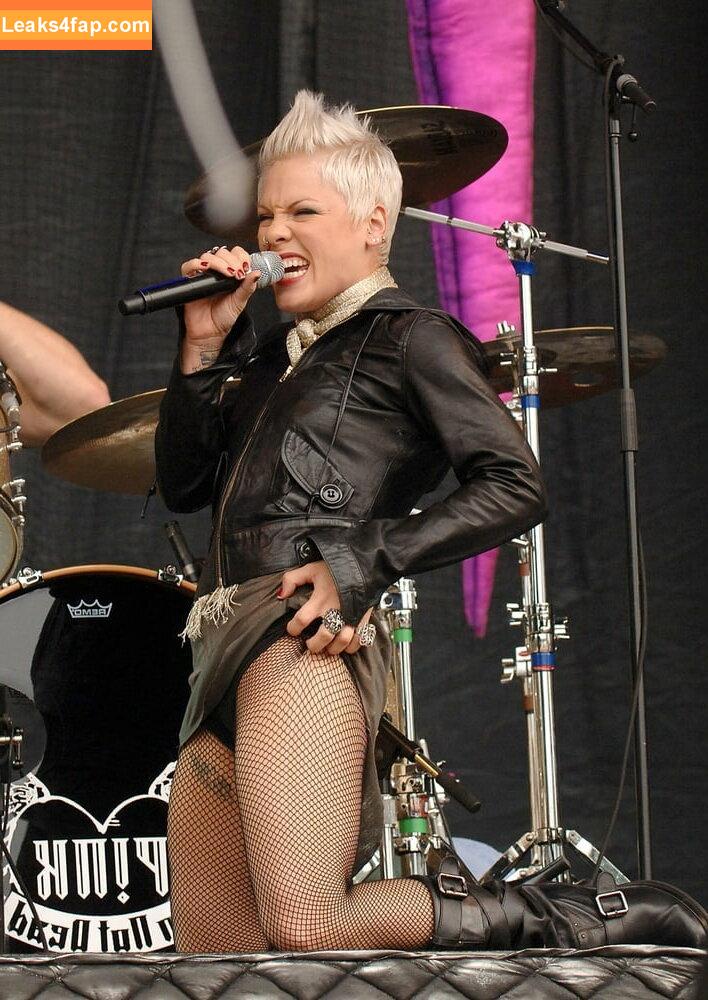 Pink / Alecia Beth Moore / pinksuicide leaked photo photo #0133
