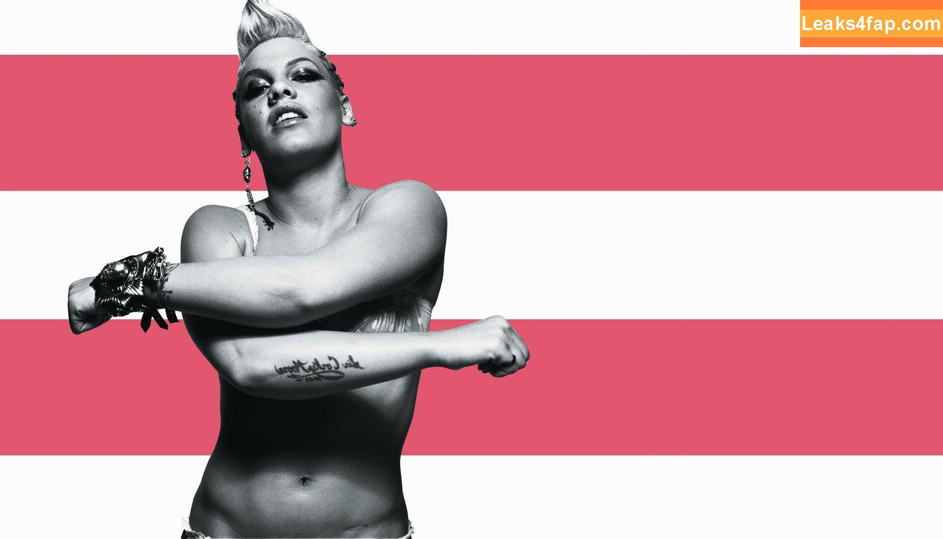 Pink / Alecia Beth Moore / pinksuicide leaked photo photo #0140