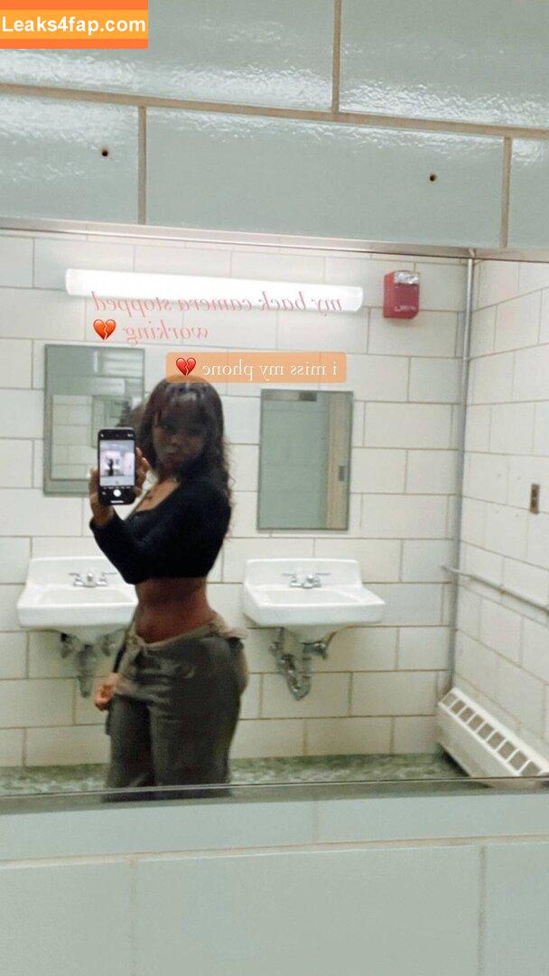 Pinkcellphon / Awakinns / Piptuni / Purelysold / Puresold leaked photo photo #0005