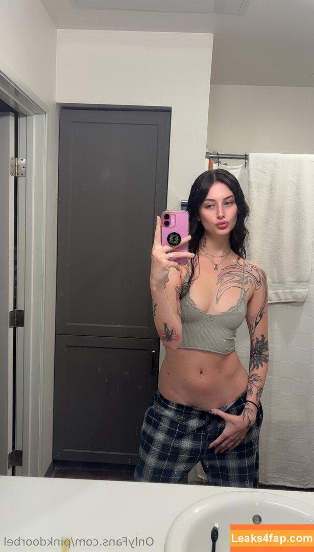 pinkdoorbel /  leaked photo photo #0013