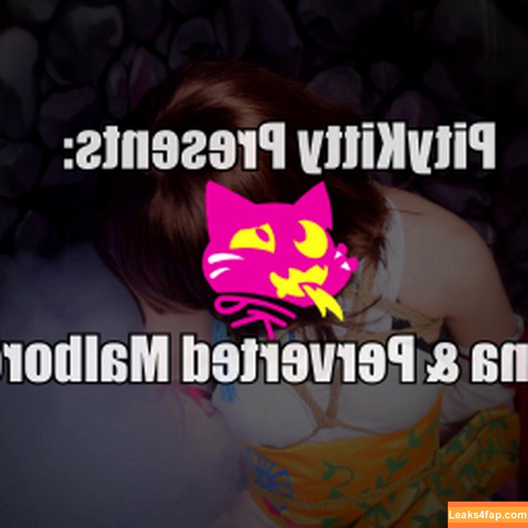 Pitykitty / pityk_cb leaked photo photo #0115