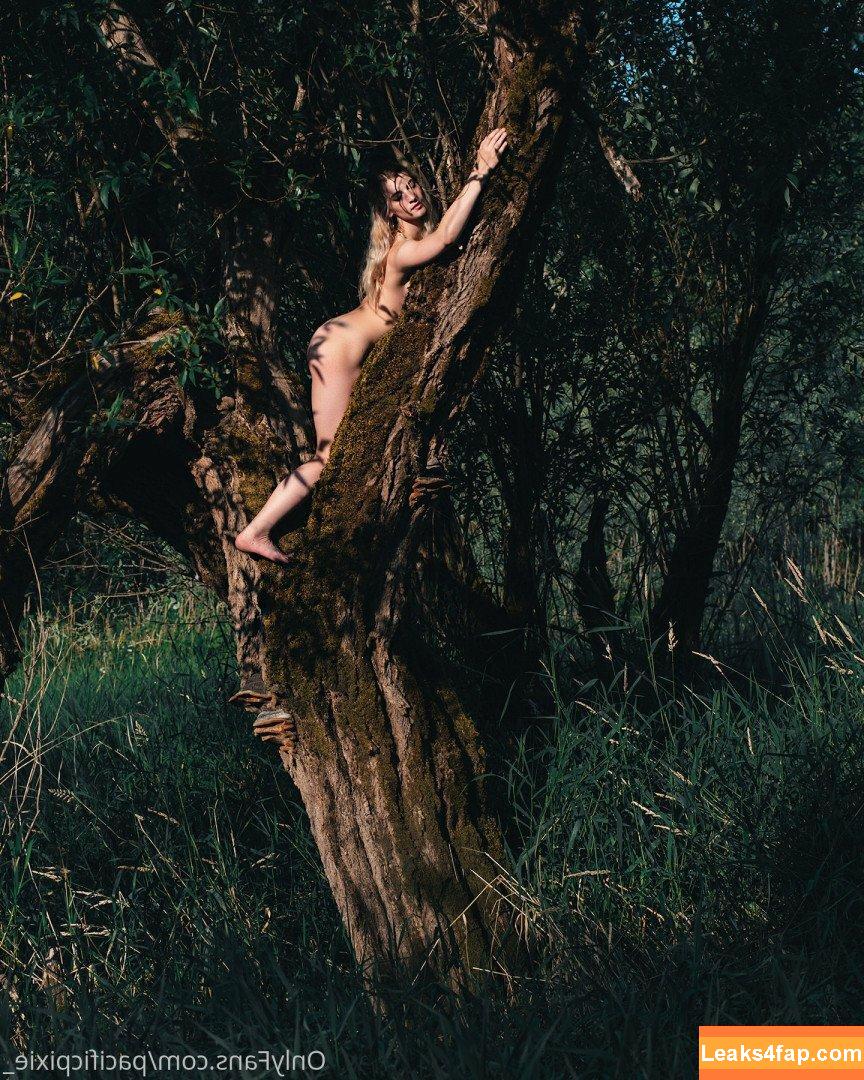 Pixie Nicky / pixienicky / pleasemepixiee слитое фото фото #0042