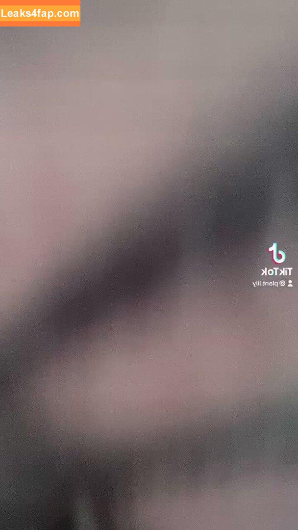 plantlily / plant.lily leaked photo photo #0159