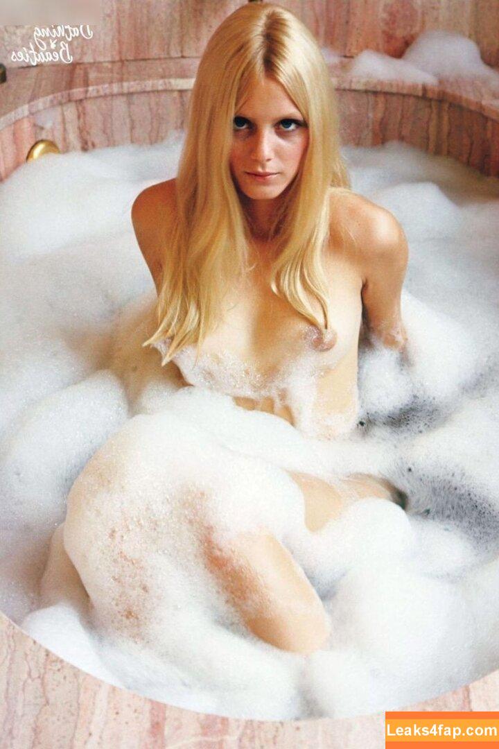 Playboy International / playboy слитое фото фото #2446