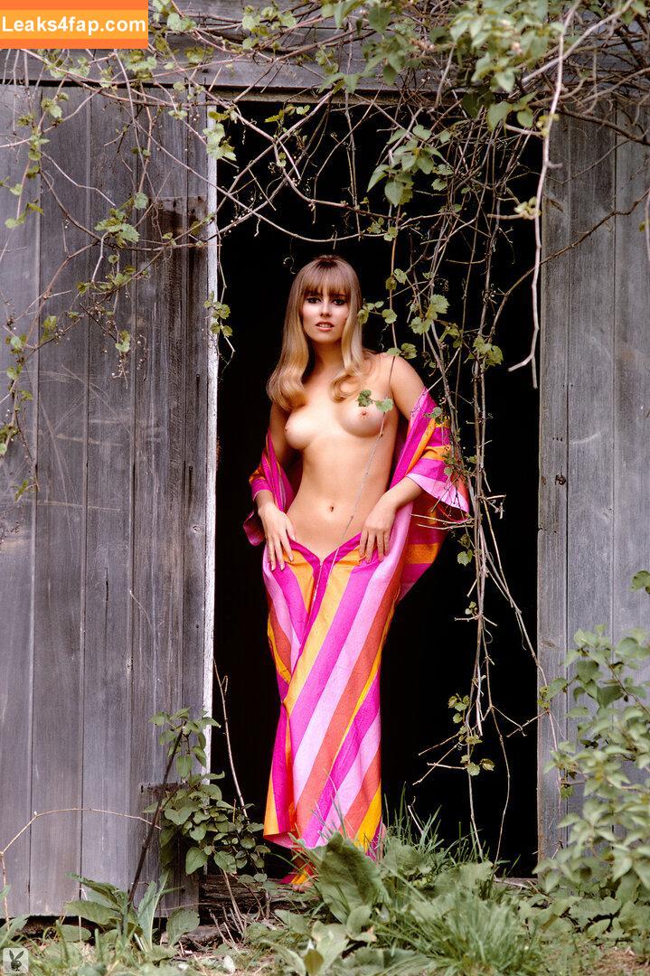 Playboy International / playboy слитое фото фото #4439