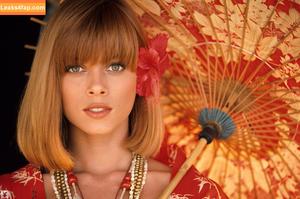 Playboy International фото #5307