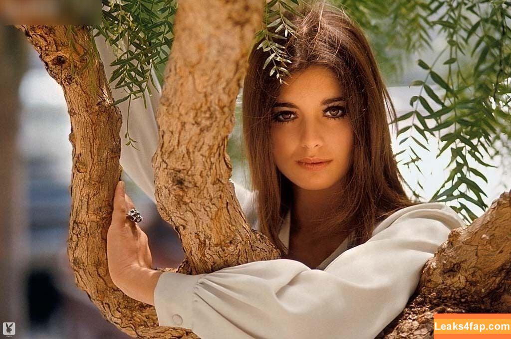 Playboy International / playboy leaked photo photo #8886