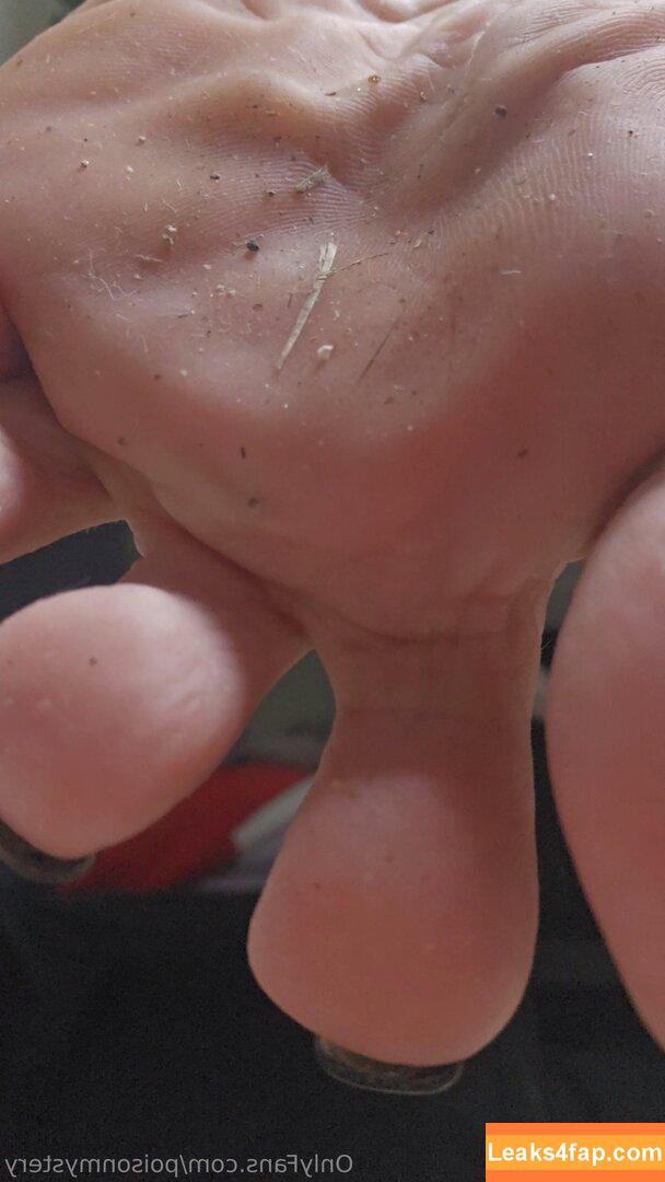 poisonmystery /  leaked photo photo #0053