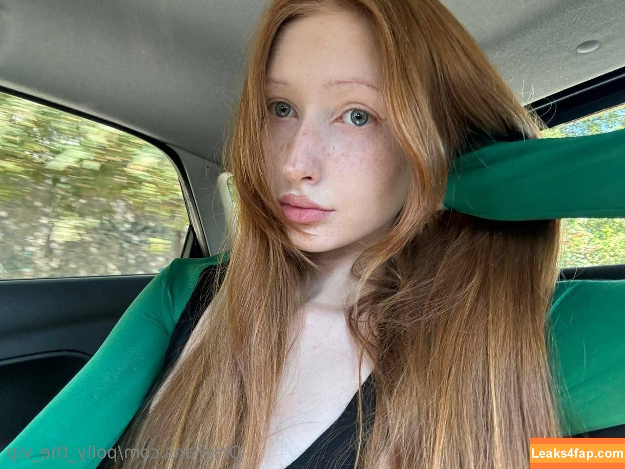 polly_the_vip / polly_the_paid / polly_the_pit_ leaked photo photo #0022