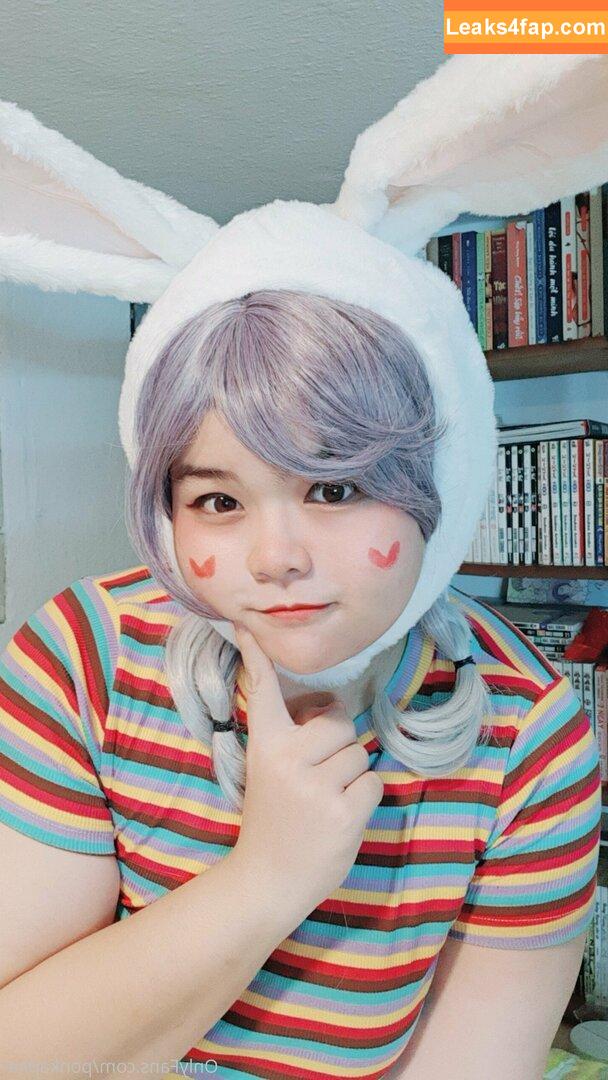 ponkapion / ponkapics leaked photo photo #0020