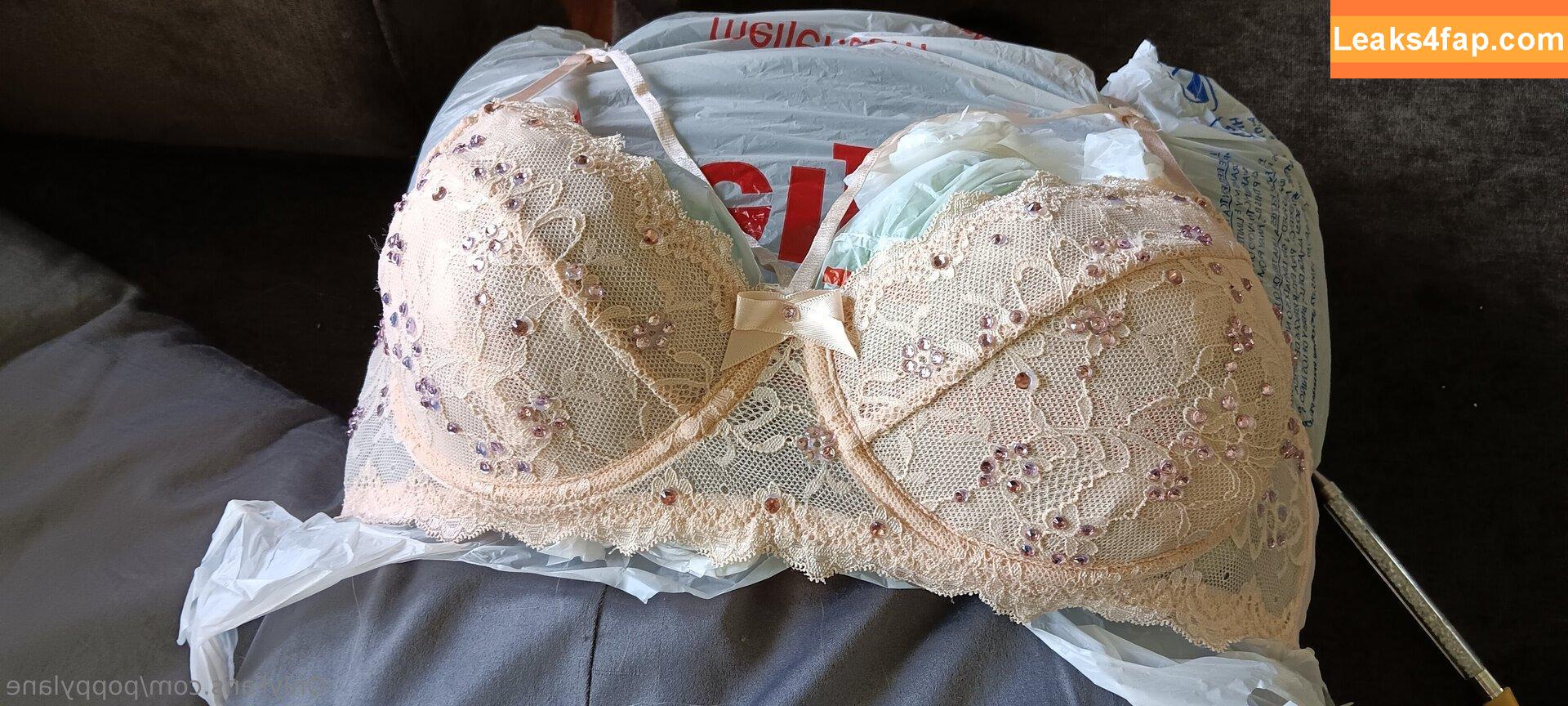 poppylane / sweetpoppylane leaked photo photo #0024