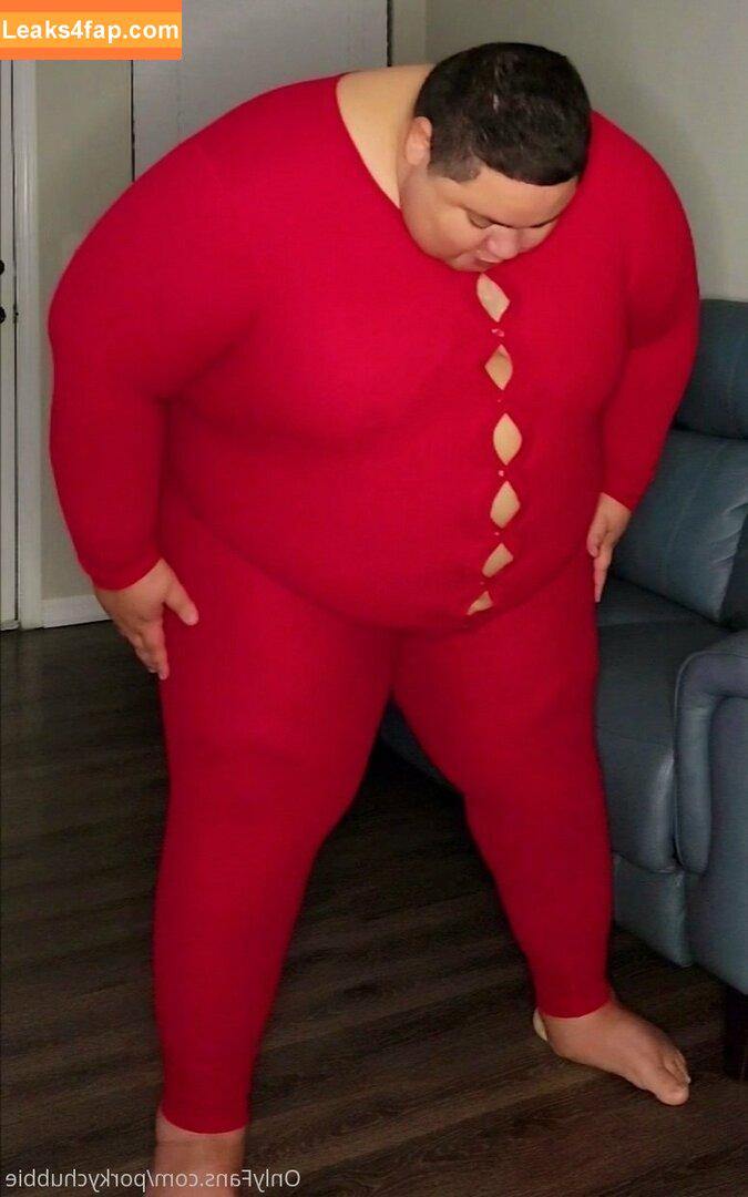 porkychubbie / porkiedebbie leaked photo photo #0009