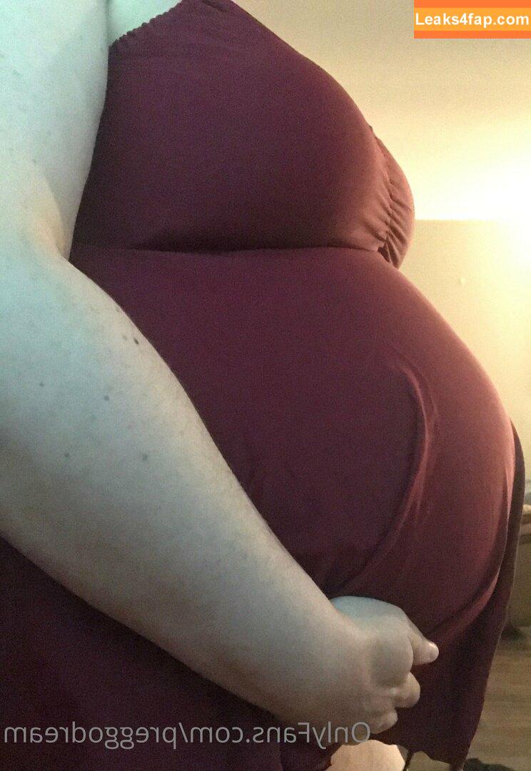 preggodream / kimwanderbug leaked photo photo #0011