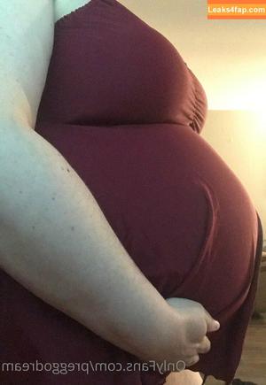 preggodream photo #0011