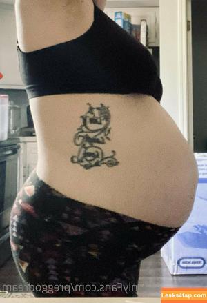 preggodream photo #0034