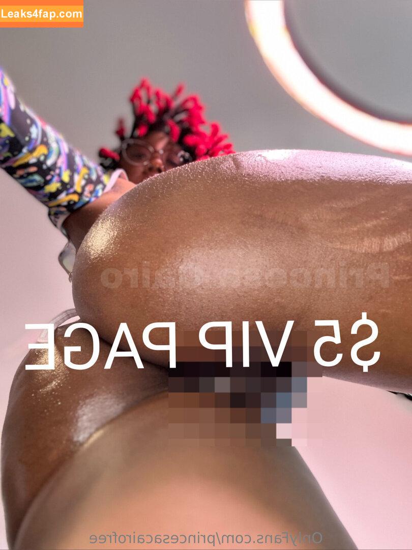 princesacairofree / fucksa747 leaked photo photo #0041