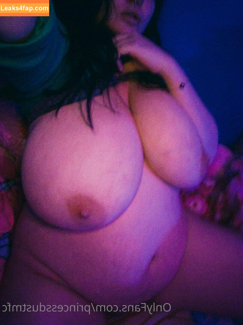 Princess Dust / princessdustinc / princessdustmfc leaked photo photo #0118