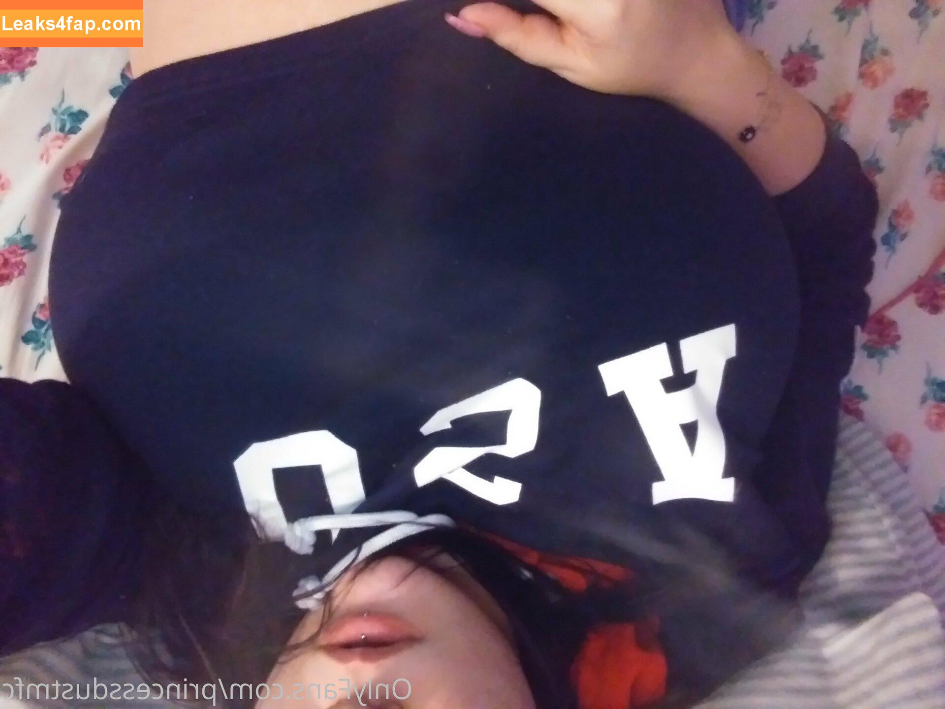 princessdustmfc / princessdustinc leaked photo photo #0106
