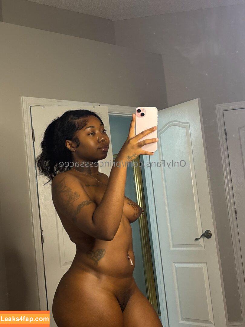 princesssacee / princessace leaked photo photo #0010