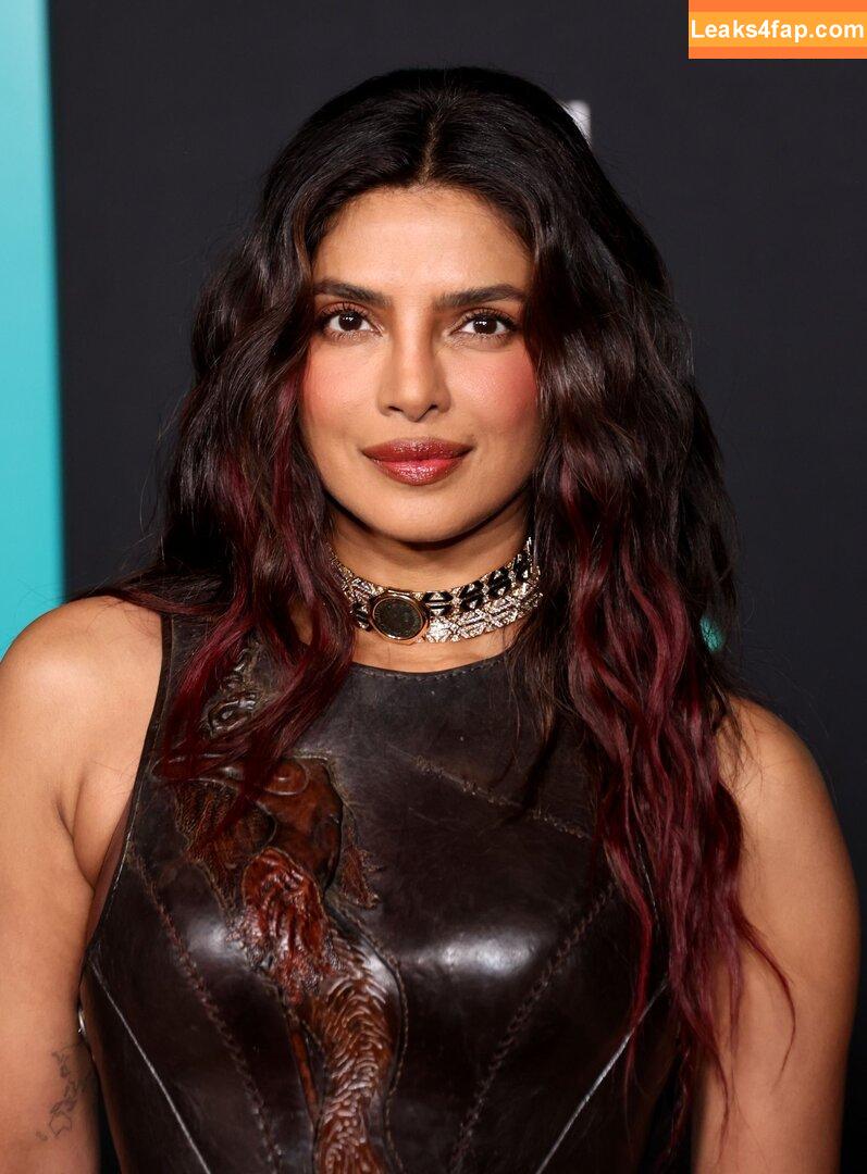 Priyanka Chopra / priyankachopra leaked photo photo #0528