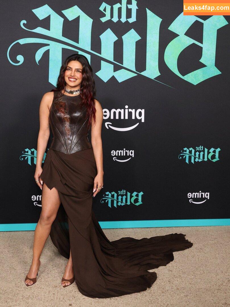Priyanka Chopra / priyankachopra leaked photo photo #0529