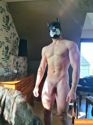 pupbuday photo #0003