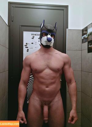 pupbuday photo #0013