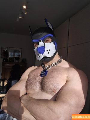 pupbuday photo #0037