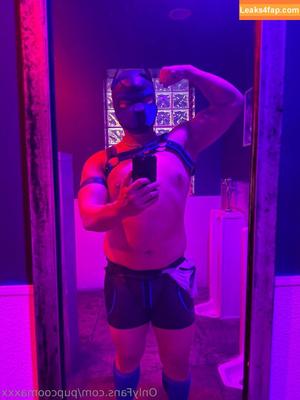 pupcoomaxxx photo #0003