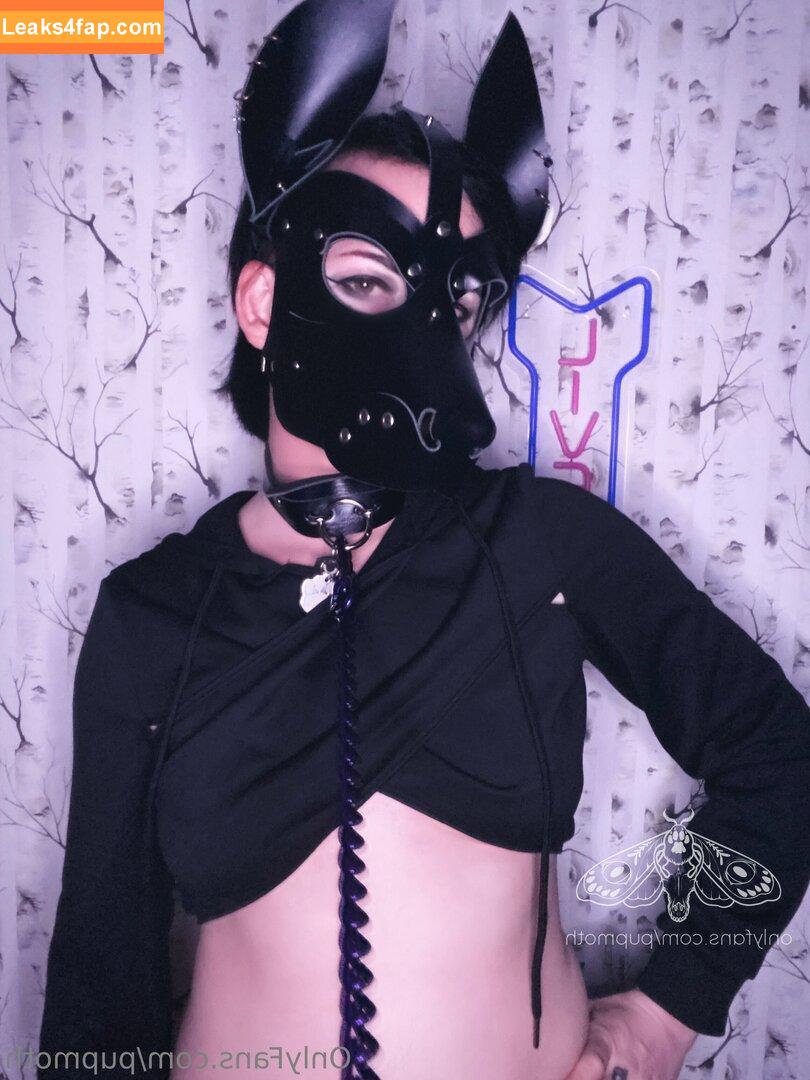 pupmoth / pupmother leaked photo photo #0012