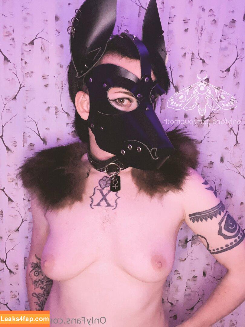 pupmoth / pupmother leaked photo photo #0019