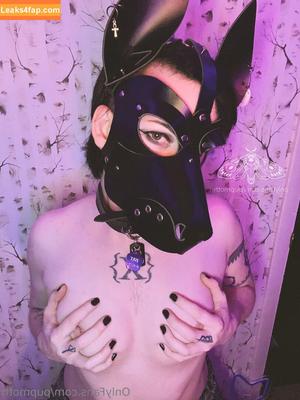 pupmoth photo #0001