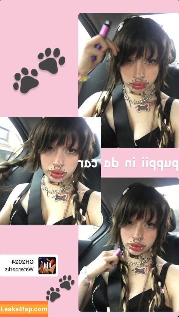 puppy_xox / gloom666puppii / puppy_XOX_slut leaked photo photo #0064