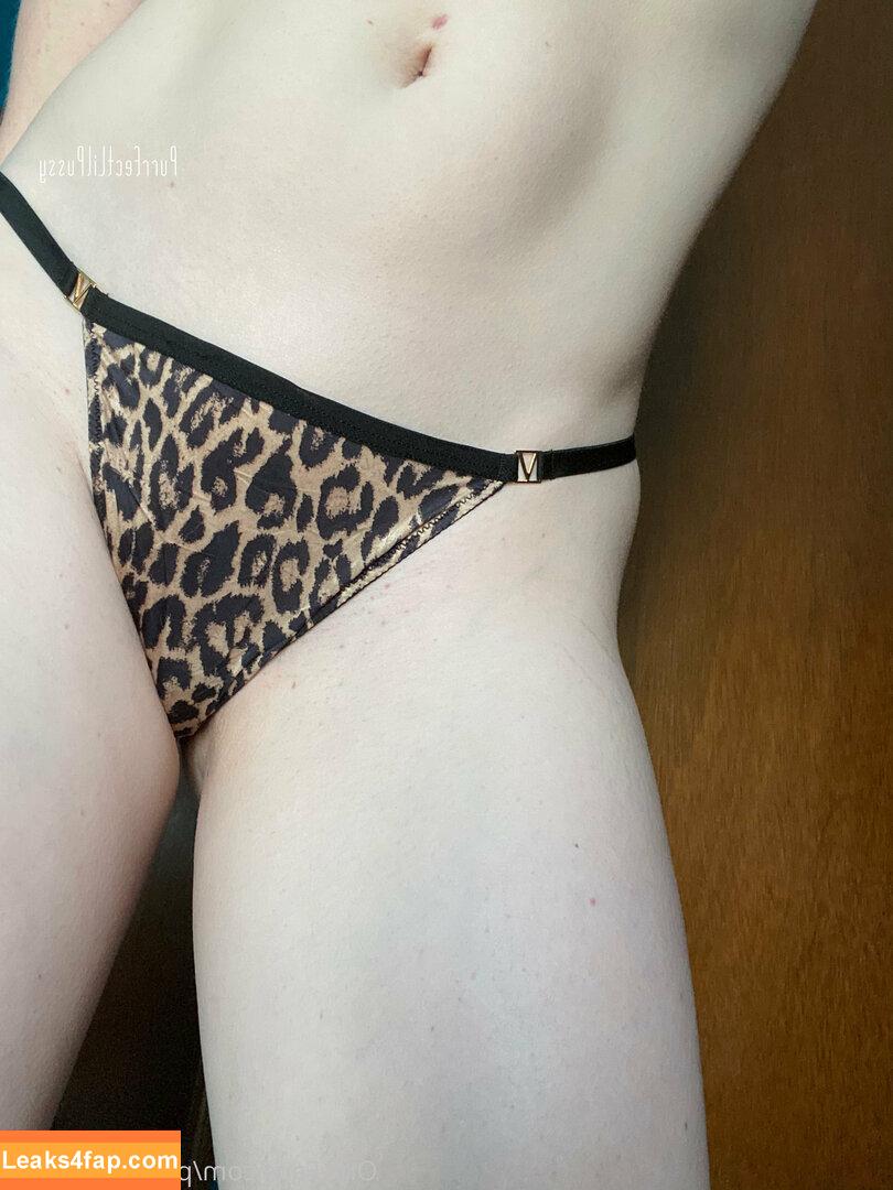 purrfectlilpussy /  leaked photo photo #0003