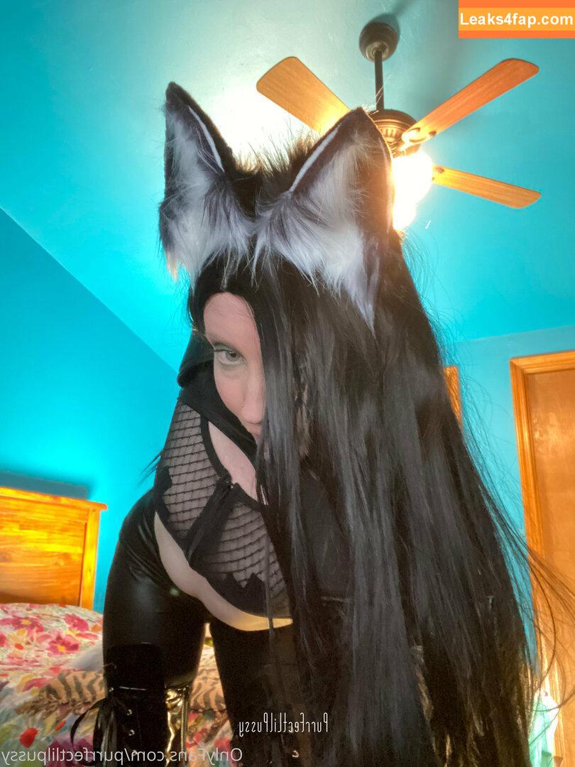 purrfectlilpussy /  leaked photo photo #0013