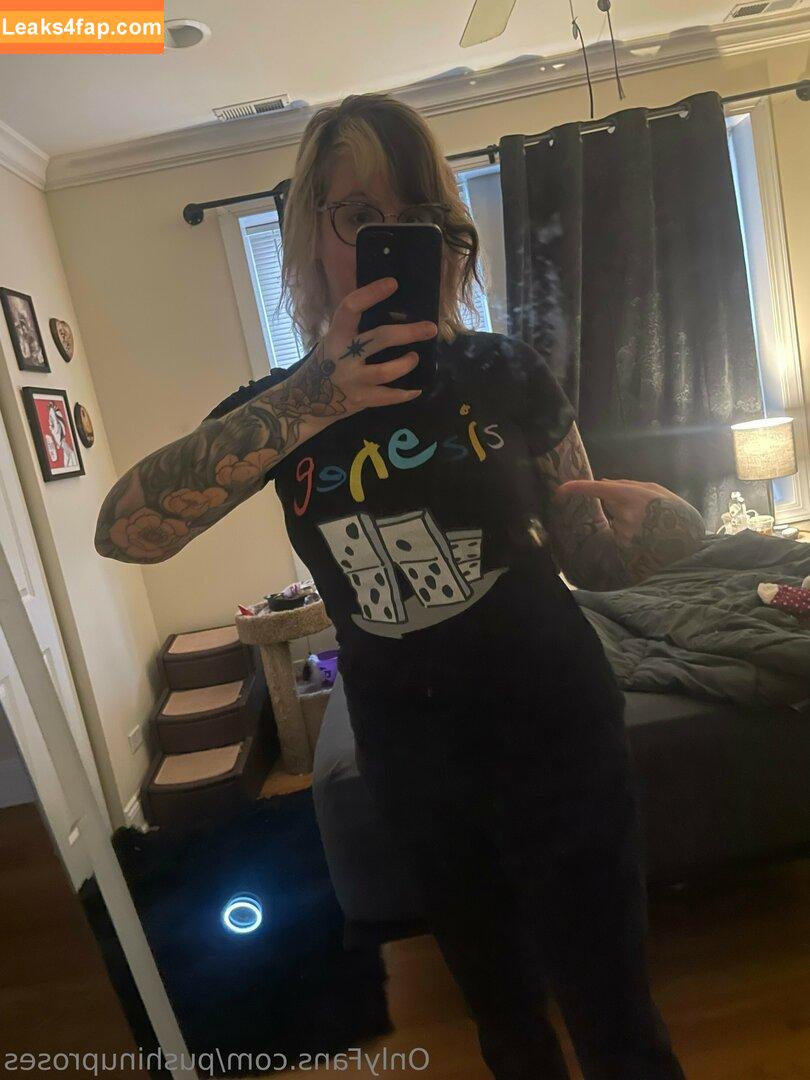 Pushinguproses / https: / roseanders leaked photo photo #0165