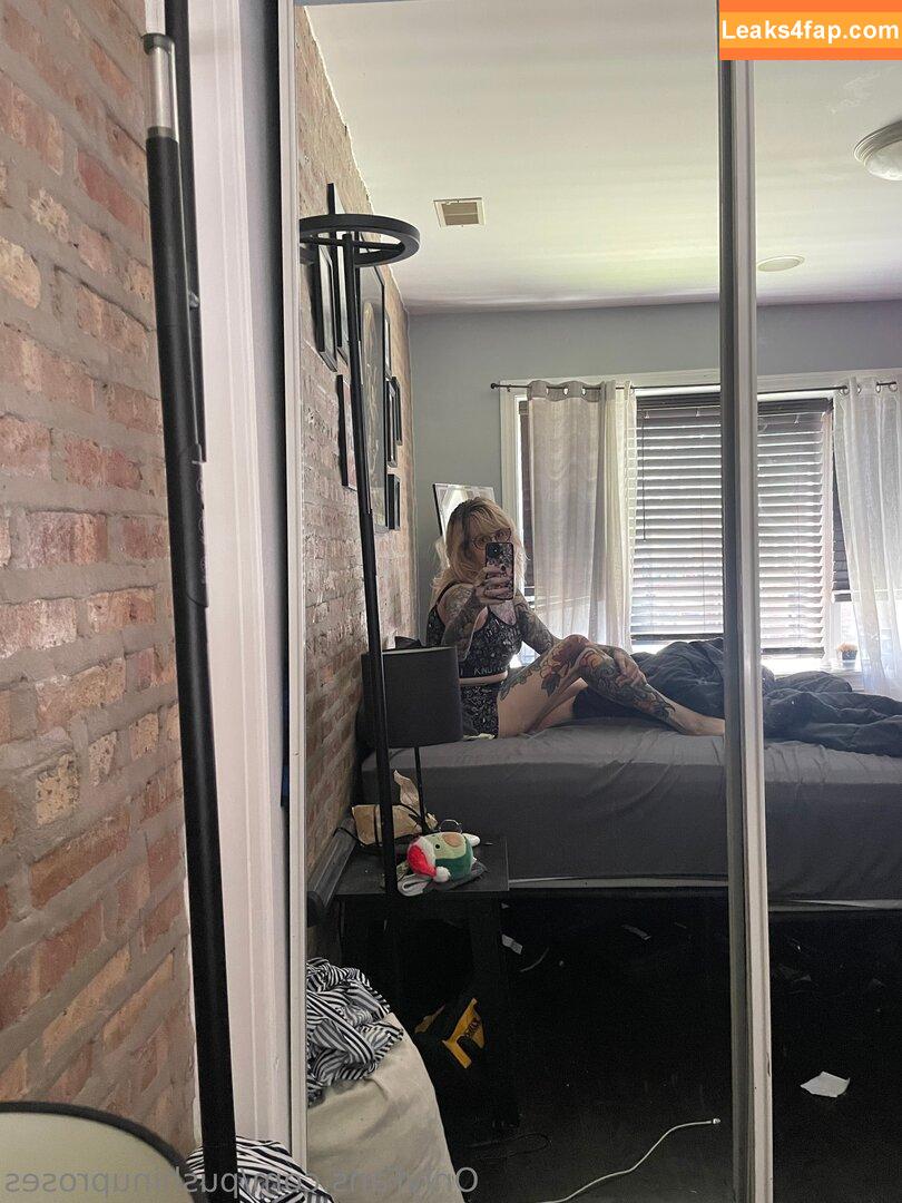 Pushinguproses / https: / roseanders leaked photo photo #0603