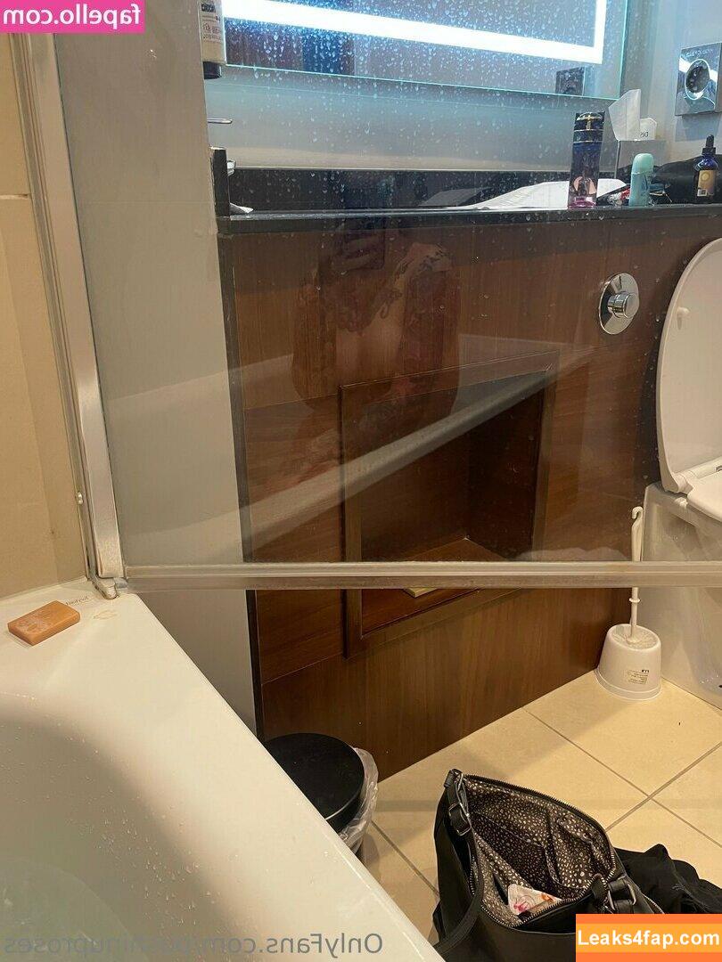 Pushinguproses / https: / roseanders слитое фото фото #0651