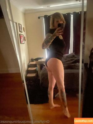 Pushinguproses photo #0239