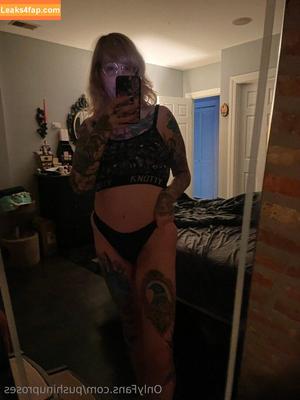 Pushinguproses photo #0562