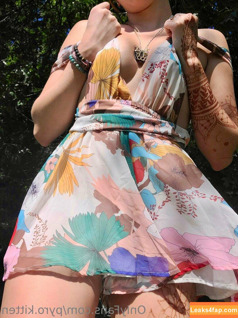 Pyro Kitten / its_pyro_kitten / pyro.kitten / pyrokitten слитое фото фото #0024