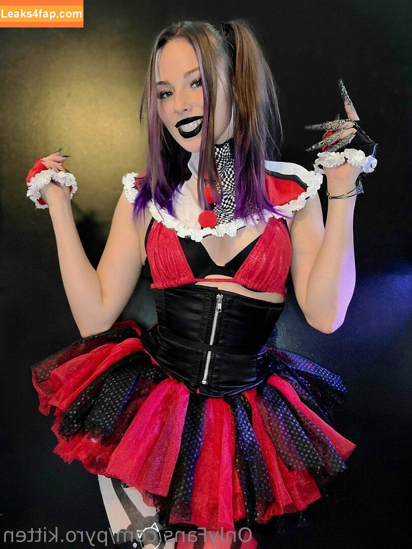 Pyro Kitten / its_pyro_kitten / pyro.kitten / pyrokitten leaked photo photo #0316