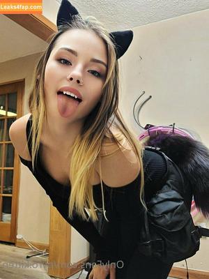 Pyro Kitten photo #0171