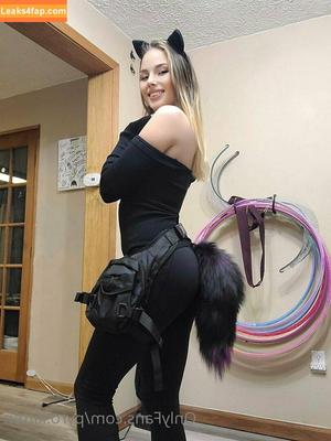 Pyro Kitten photo #0173