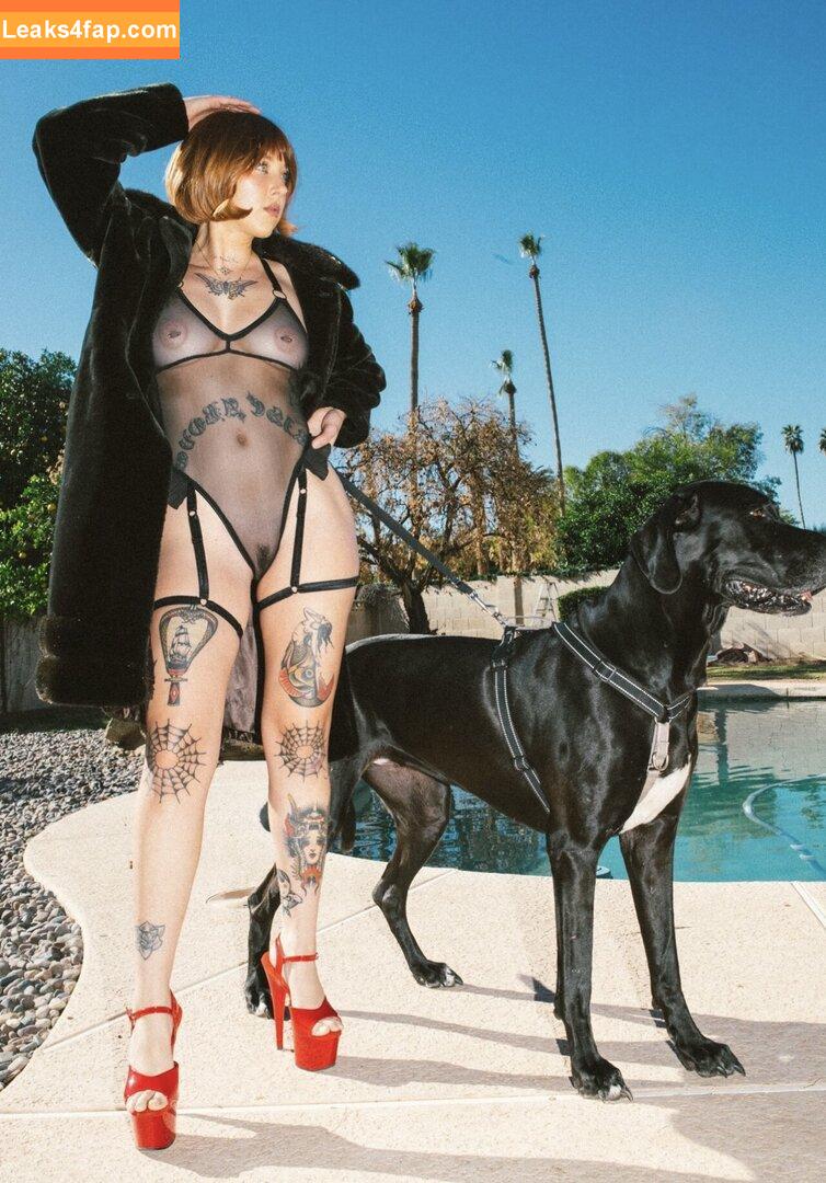 Quinn.__ leaked photo photo #0008