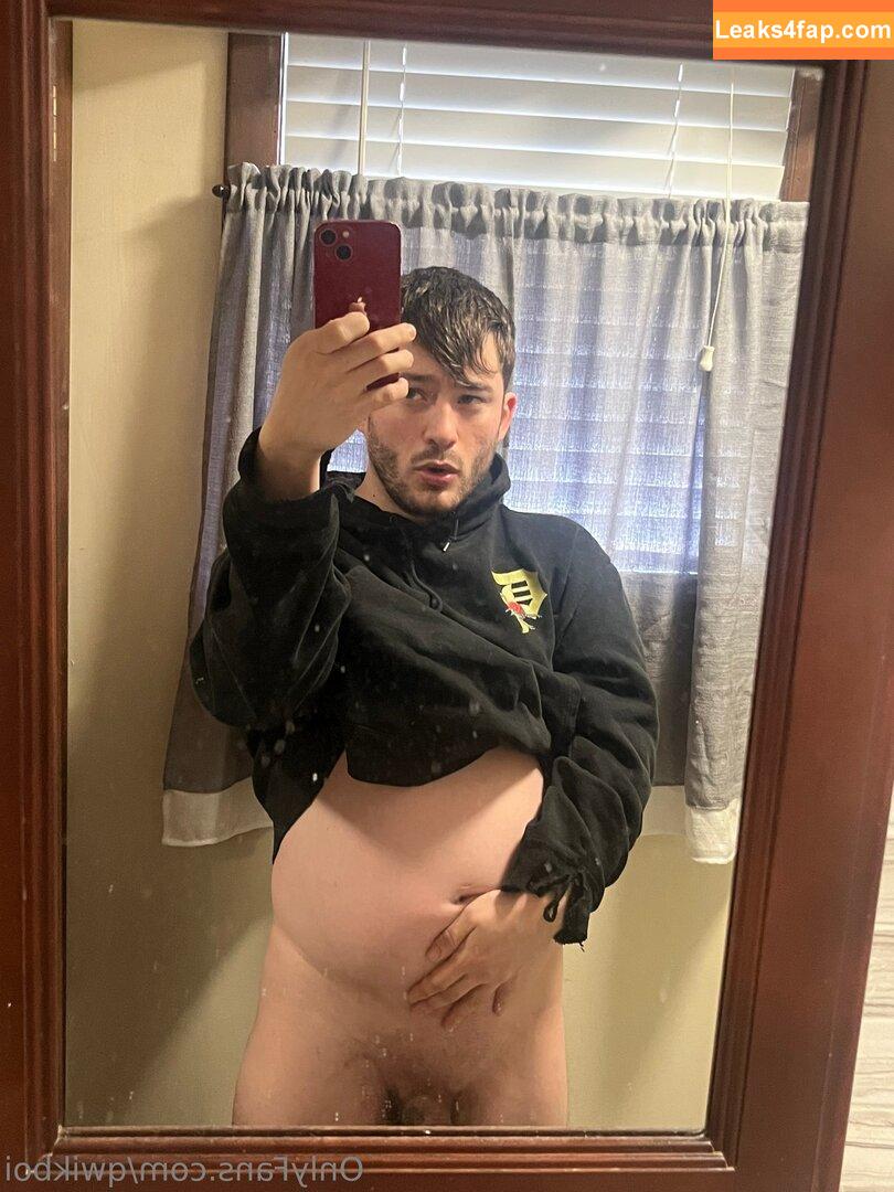 qwikboi / nerdroberts leaked photo photo #0033